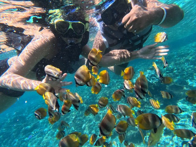 NUSA PENIDA TOURS