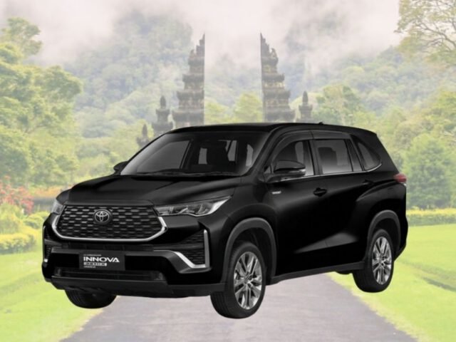 Private Driver with Innova