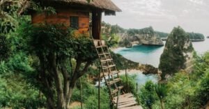 Tree House