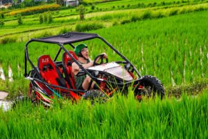 Bali Buggy Adventure Through Scenic Rice Fields